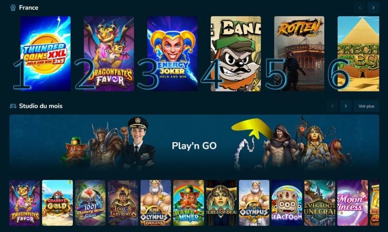 Volerbet Casino interface